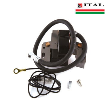 ELEKTRONIKA BRIGGS & STRATTON 13 16 18 KS VANGUARD 492341 ITAL