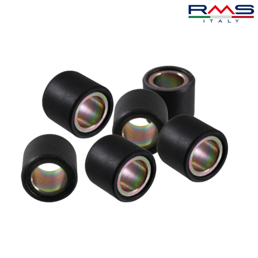 ROLNI 25X22-27,3 100400480 RMS ITALY*
