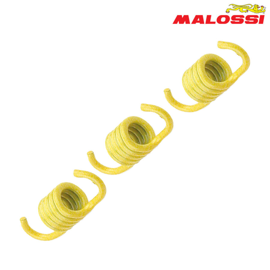 FEDERCINJA LAMELA ZOLTI MALOSSI*