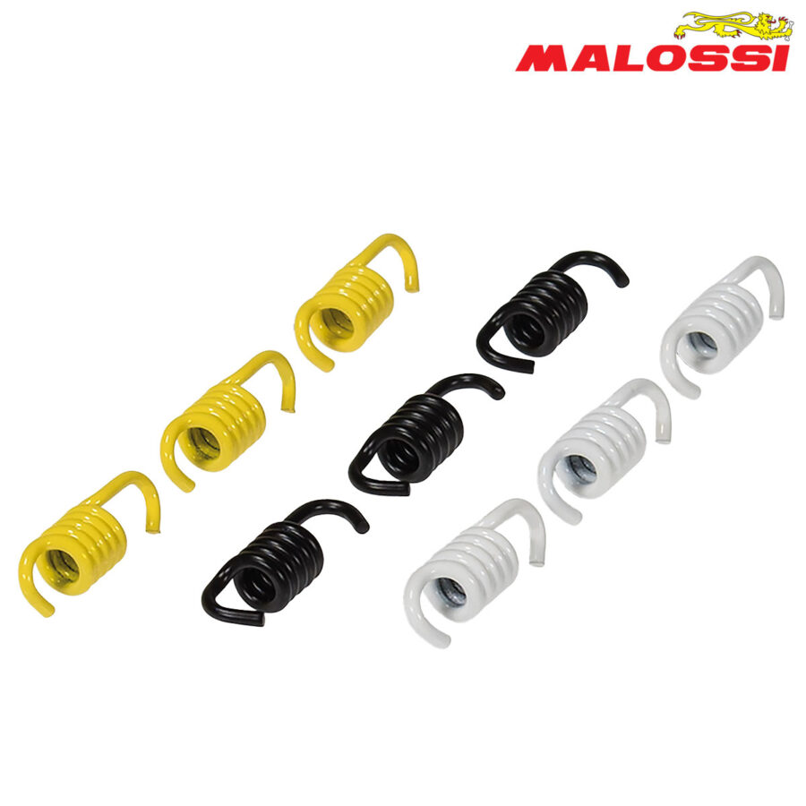 FEDERCINJA LAMELA MALOSSI SET