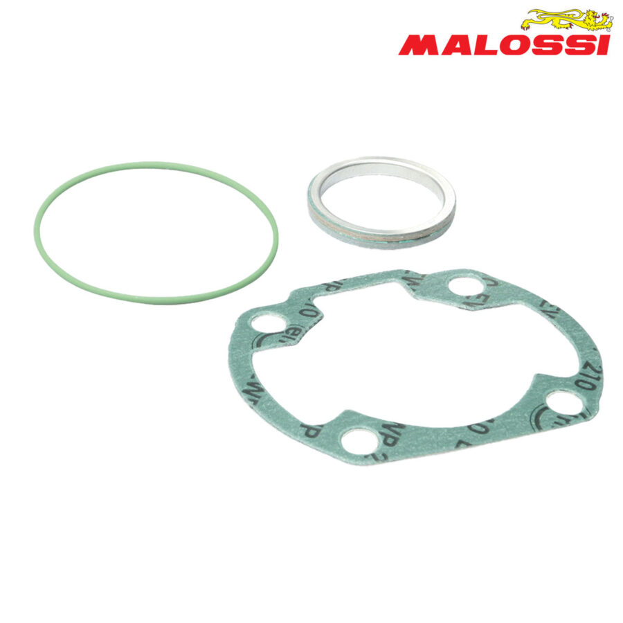 DIKTONI SYM 47mm A/C MALOSSI*