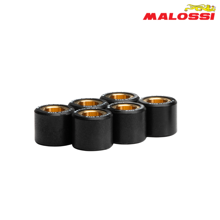 ROLNI 20X17-15,5 6611095.U0 MALOSSI***