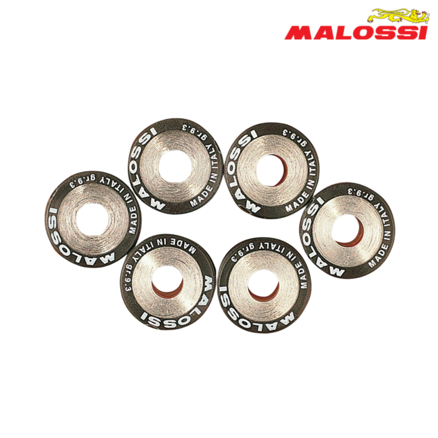 ROLNI 19X13,7-12 6611531.H0 MALOSSI*