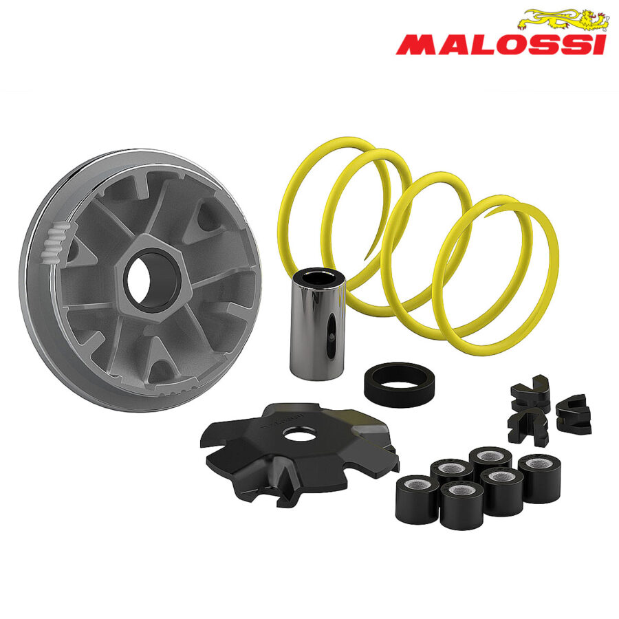 VARIJATOR HONDA BALI SFX SGX SKY SH SHADOW SXR X8R X PEUGEOT SV GEO 50 2T MULTIVAR 51 7117 MALOSSI***