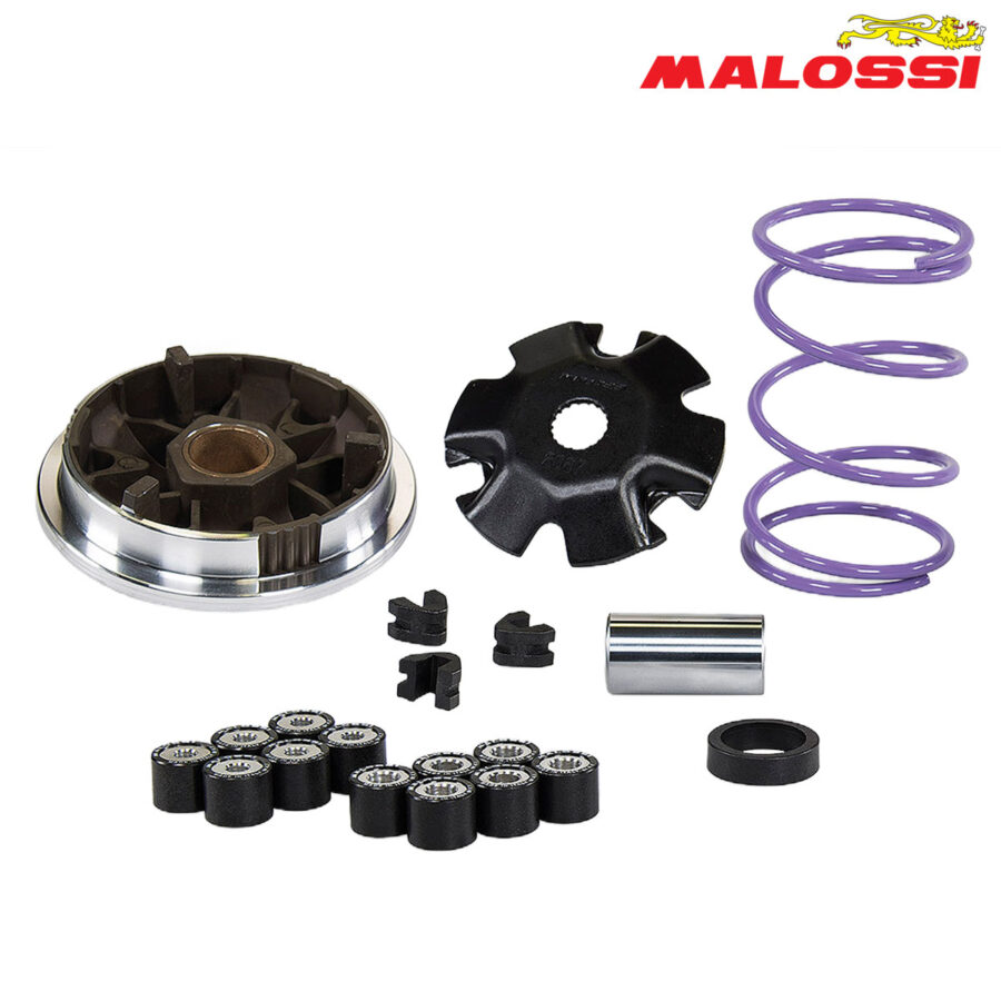VARIJATOR PIAGGIO FREE NRG NTT QUARTZ SFERA ZIP VESPA ET2 50 2T MULTIVAR MHR 51 8648 MALOSSI***