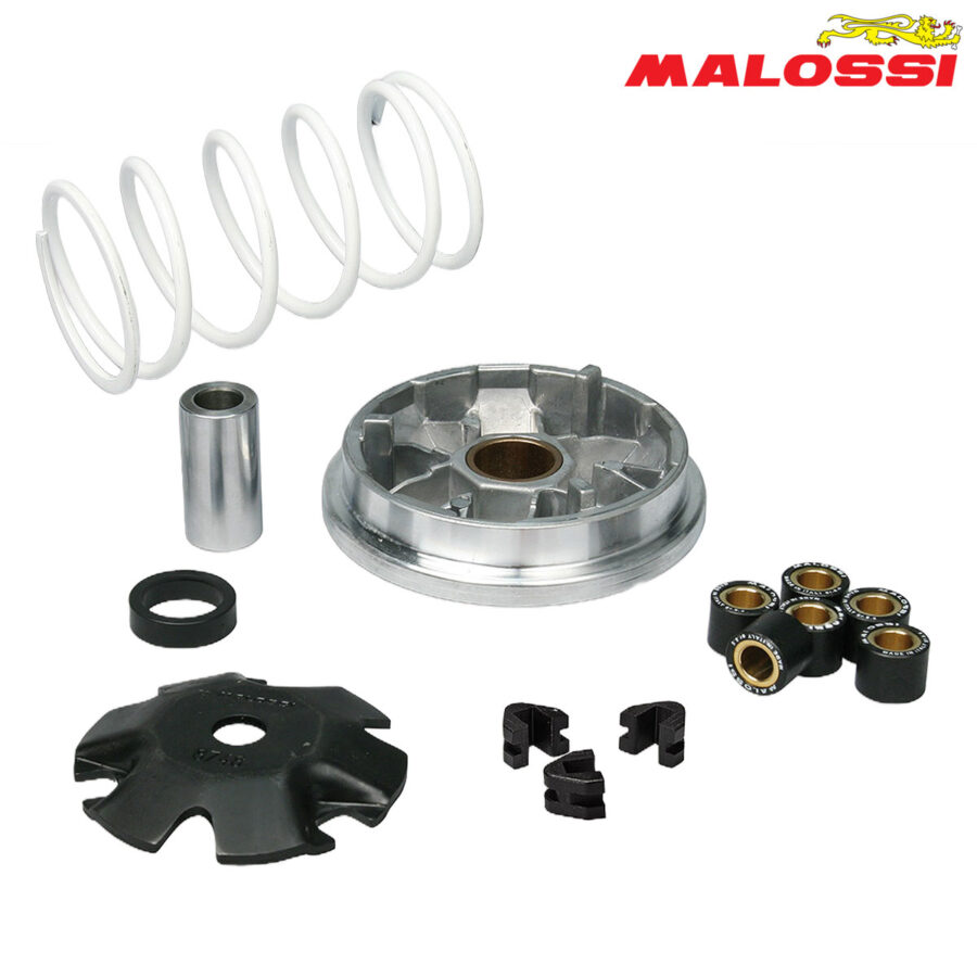 VARIJATOR PEUGEOT BUXY ELYSEO LOOXOR LUDIX SPEEDFIGHT 2 3 VIVACITY 50 2T MULTIVAR 51 8752 MALOSSI***