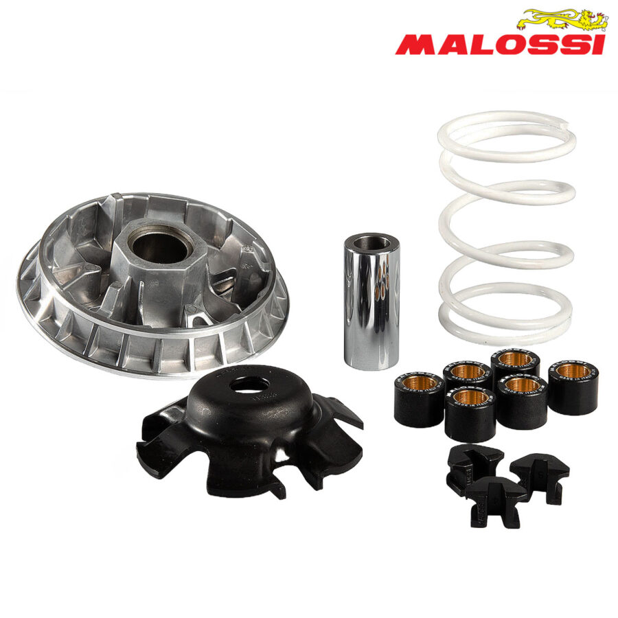 VARIJATOR SYM CITYCOM HD 300 GTS JOYMAX 250 300 TGB X MOTION 250 MULTIVAR 2000 5113597 MALOSSI***