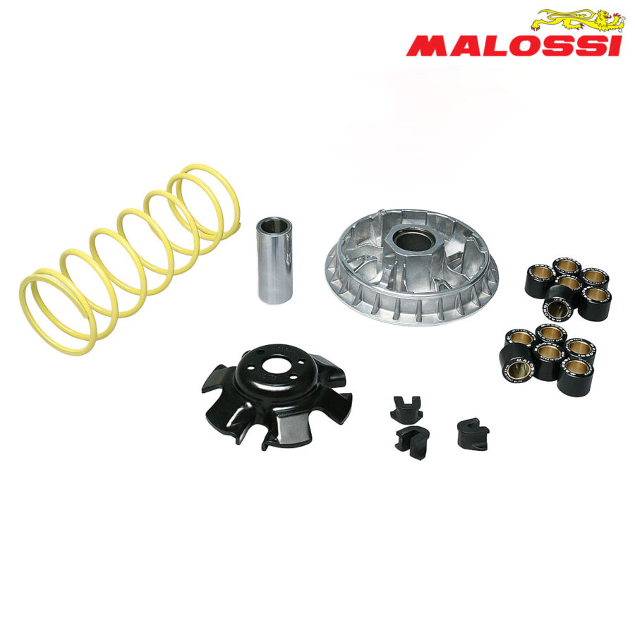 VARIJATOR KYMCO PEOPLE XCITING X-TOWN 300 MULTIVAR 2000 5113892 MALOSSI***