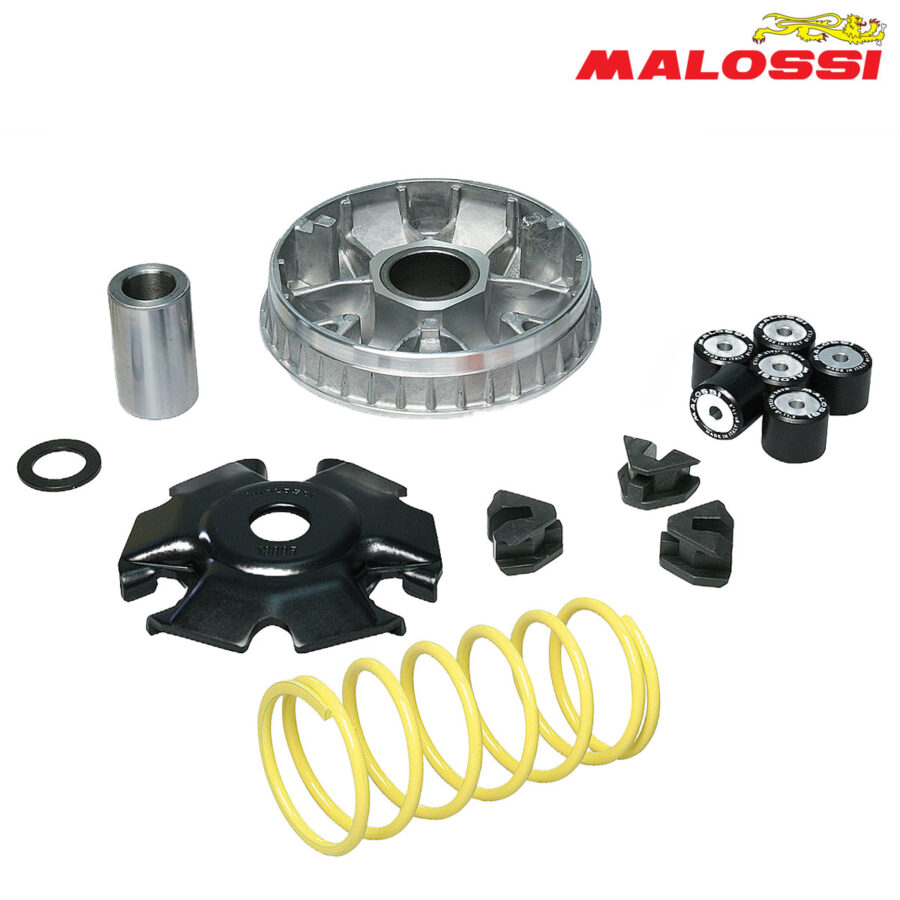 VARIJATOR PEUGEOT DJANGO LXR TWEET SYM EURO 125 SYMPHONY 125 200 MIO MULTIVAR 2000 MALOSSI***