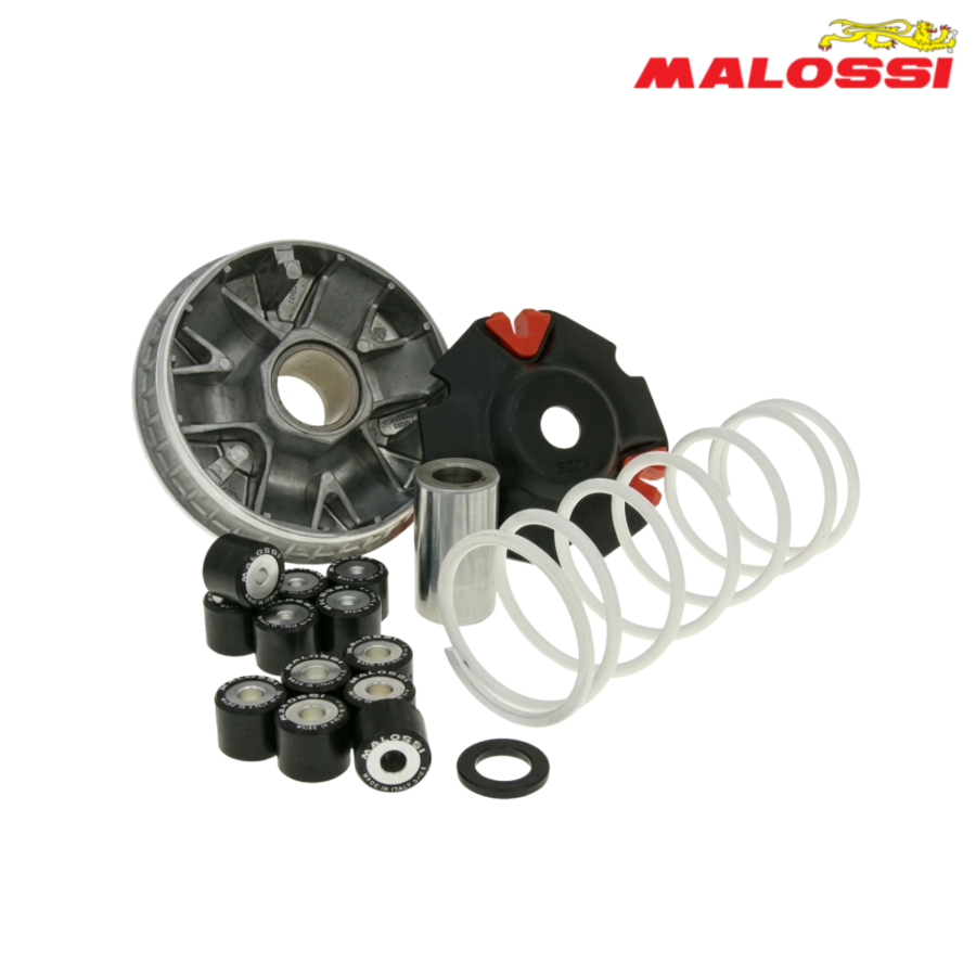 VARIJATOR GY6 KEEWAY ZAHARA 125 KYMCO AGILITY PEOPLE 125 150 200 MULTIVAR MALOSSI***