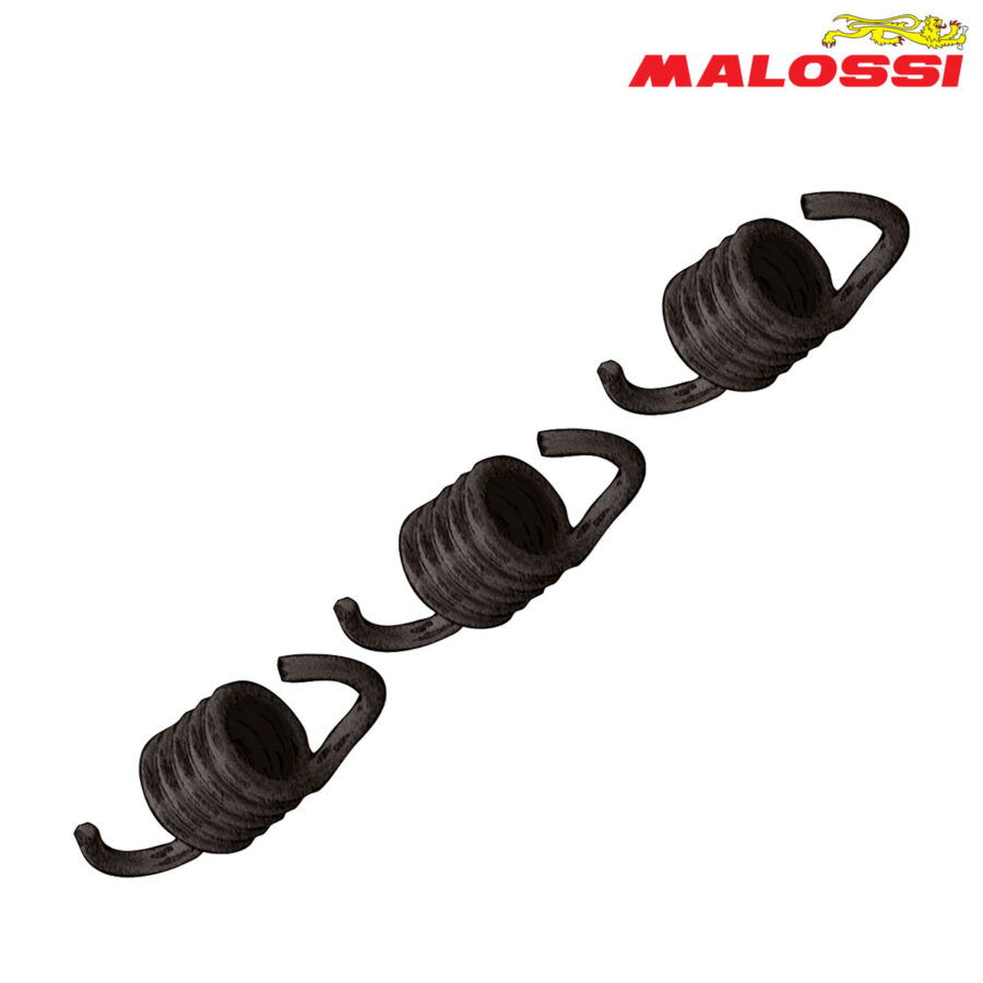 FEDERCINJA LAMELA CRNI ZA ORGINALNA LAMELA 5000-7000 R.P.M. 29 7457 MALOSSI*