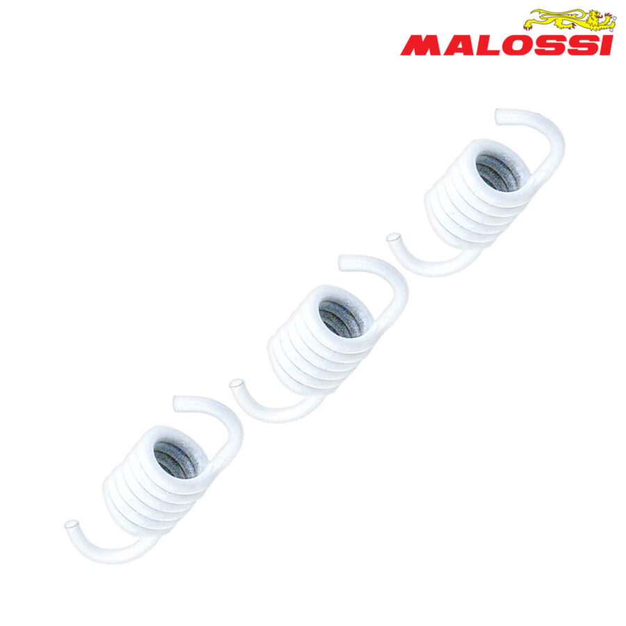 FEDERCINJA LAMELA BELI ZA ORGINALNA LAMELA 3000-5000 R.P.M. 29 7457 MALOSSI*