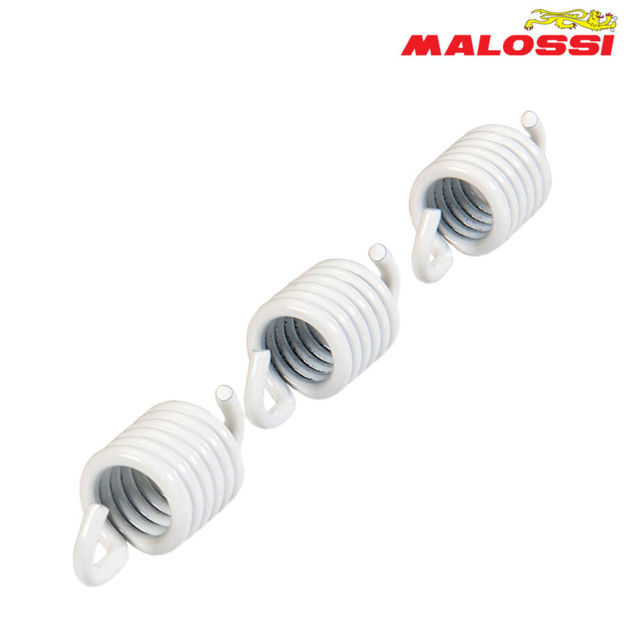 FEDERCINJA LAMELA BELI MALOSSI***