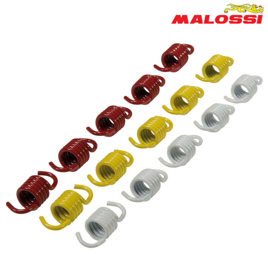 FEDERCINJA LAMELA MALOSSI SET***