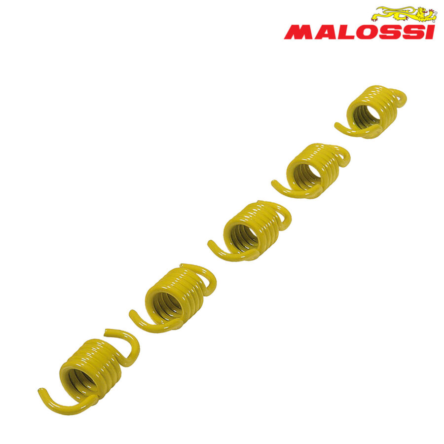 FEDERCINJA LAMELA ZOLTI MALOSSI*