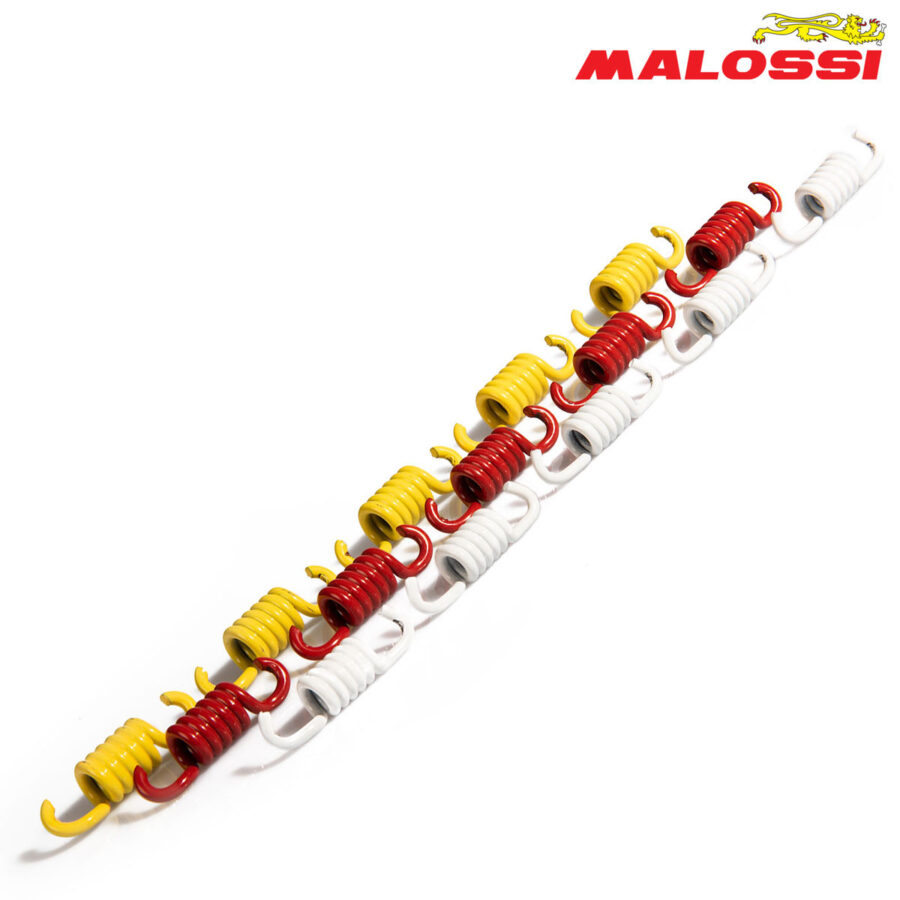 FEDERCINJA LAMELA MALOSSI SET***