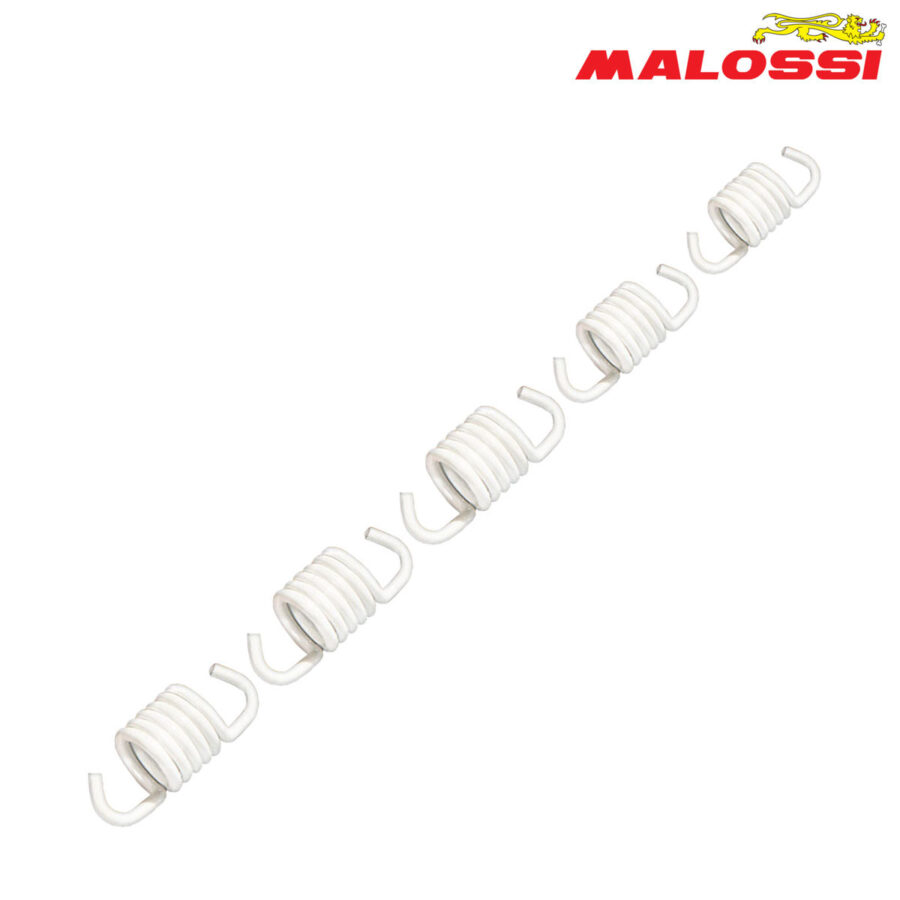 FEDERCINJA LAMELA BELI MALOSSI***