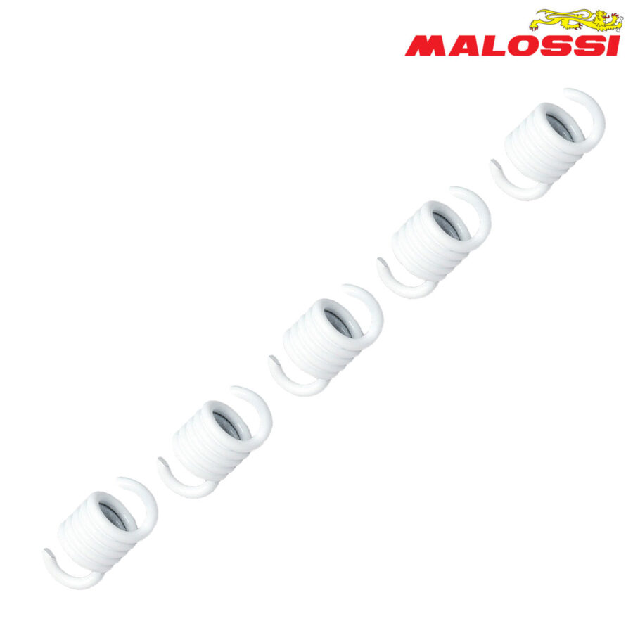 FEDERCINJA LAMELA BELI MALOSSI***