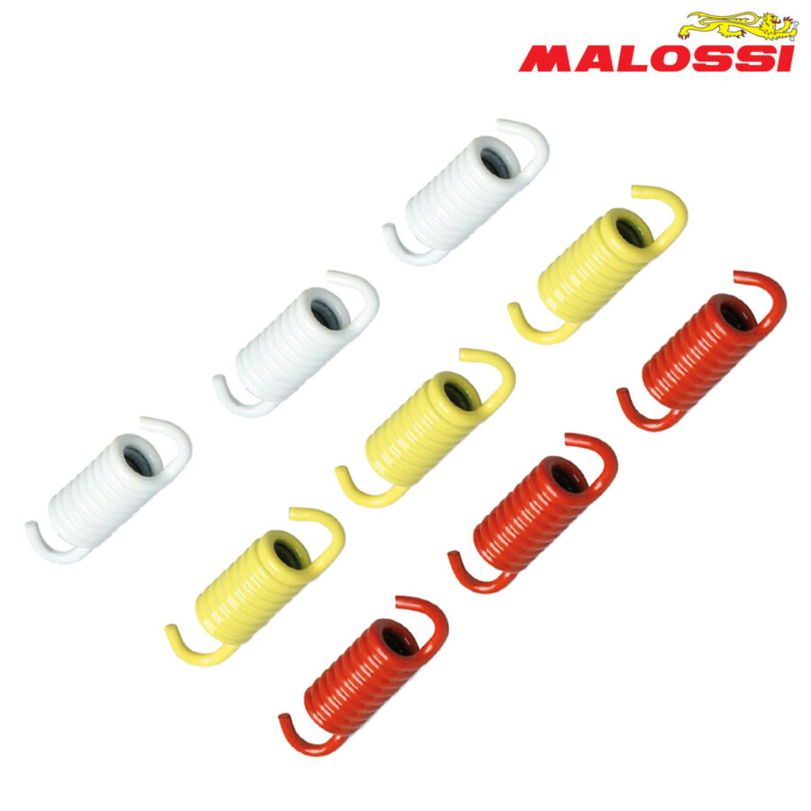 FEDERCINJA LAMELA MALOSSI SET***