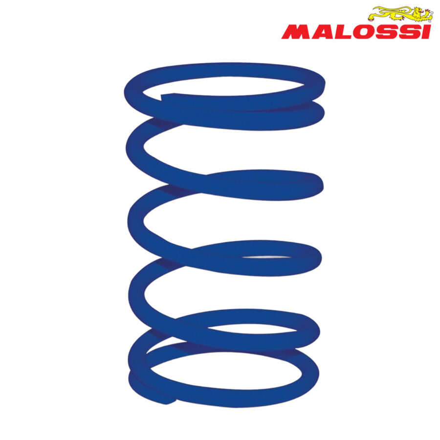 FEDER KAISNICA PLAV RACING MALOSSI