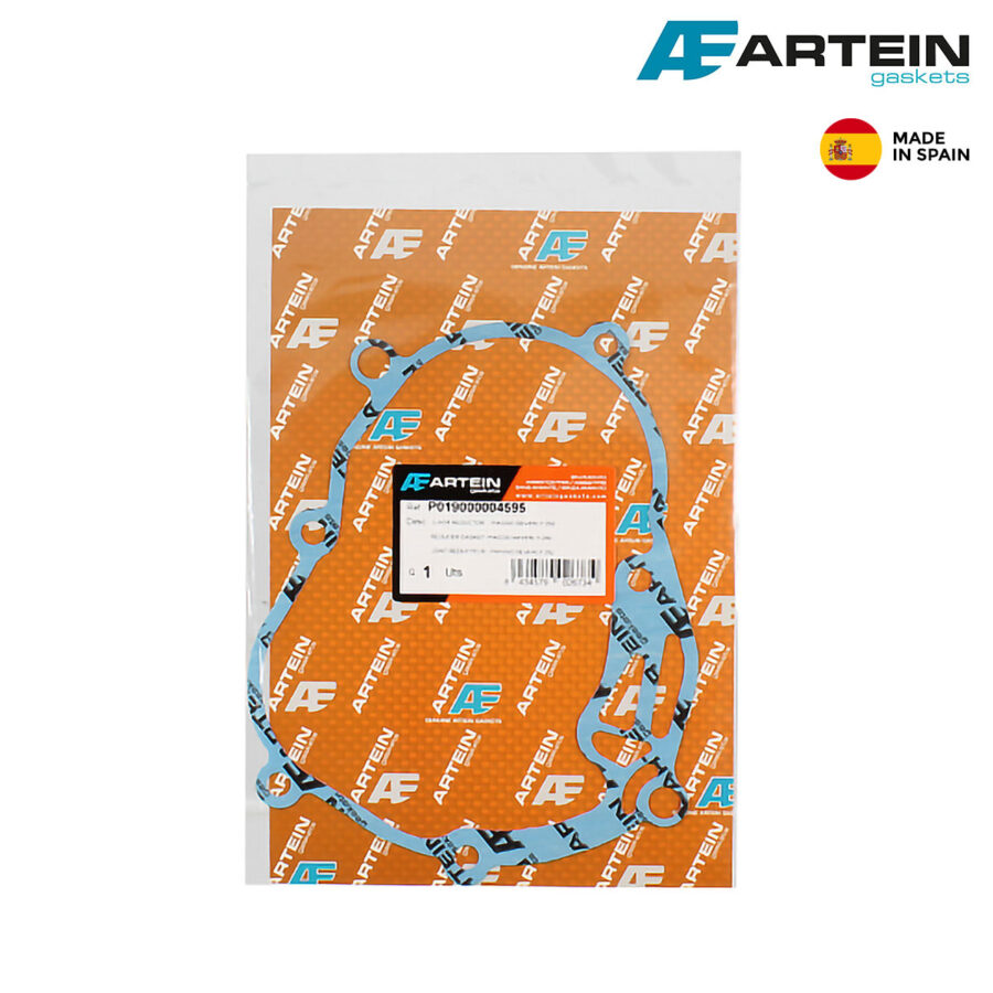 DIKTON PIAGGIO BEVERLY 125 200 250 300 100690323 RMS ITALY