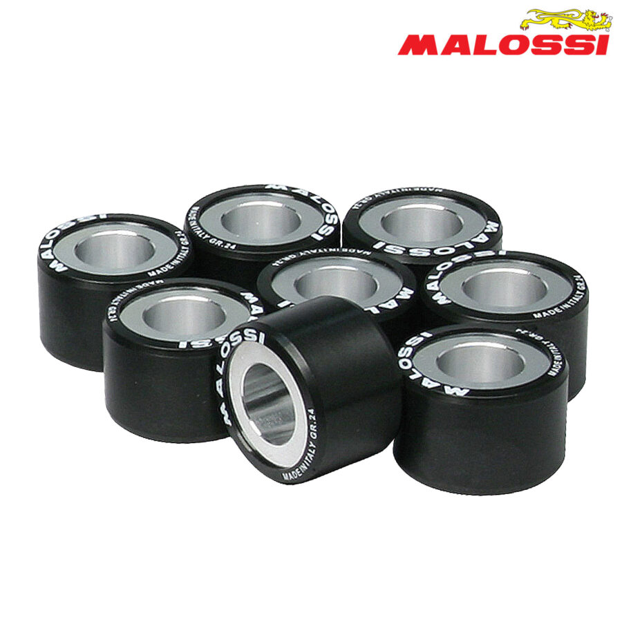 ROLNI 29,8x19,8-33 MALOSSI*