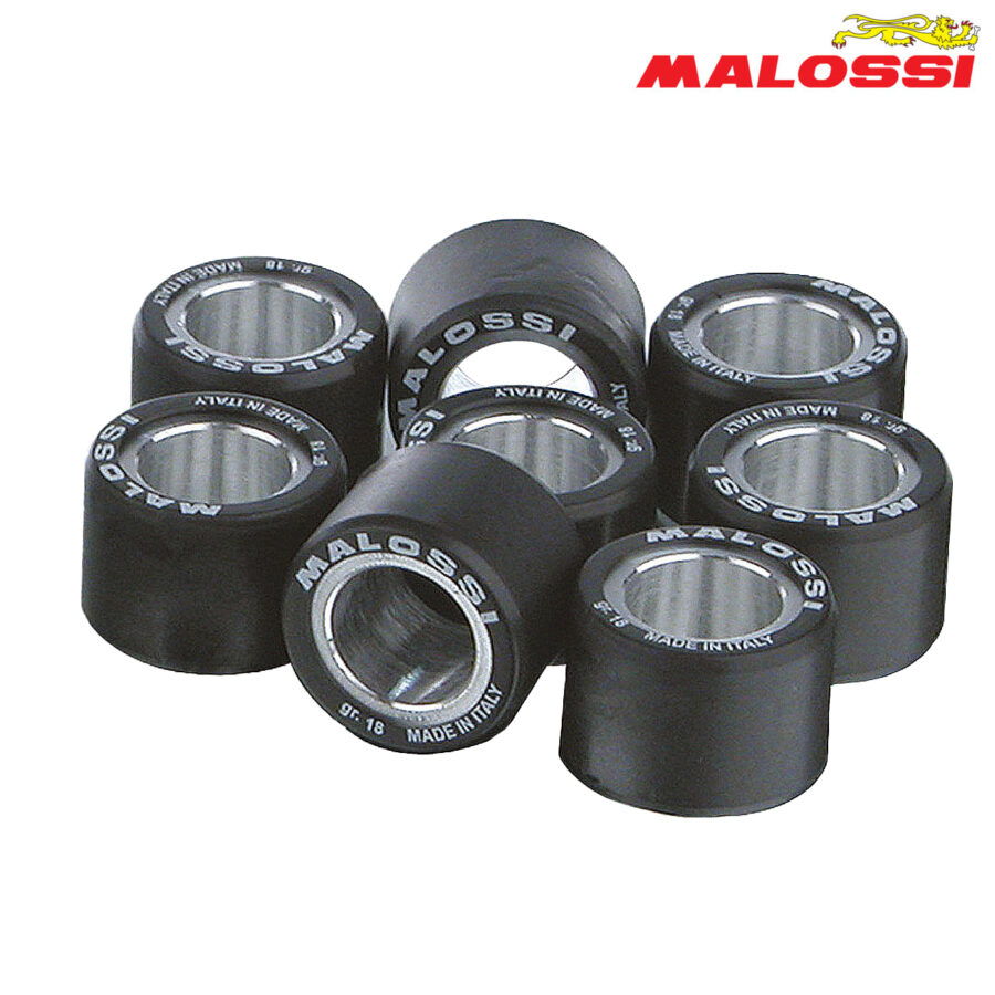 ROLNI 28,2X19,9-24 MALOSSI***