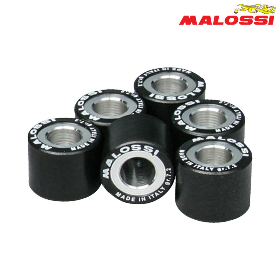 ROLNI 20,9X17-13 MALOSSI*