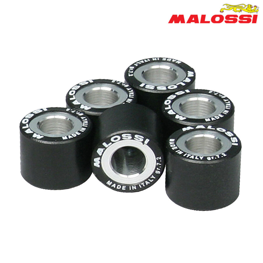 ROLNI 20,9X17-10 MALOSSI*