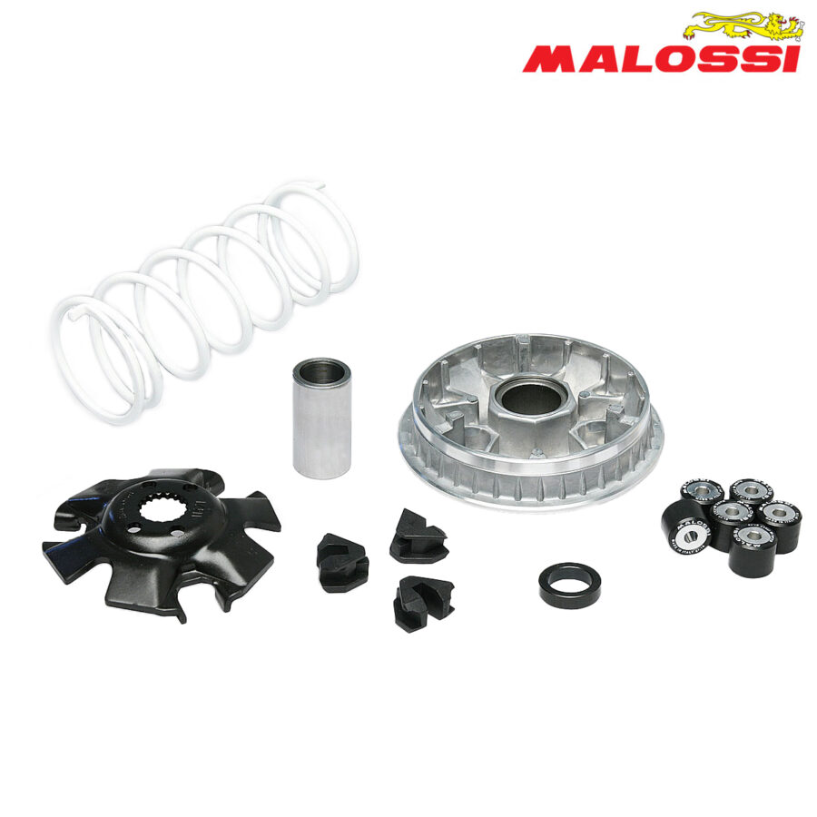 VARIJATOR SUZUKI BURGMAN K 7 125 UH EPICURO SIXTEEN 125 150 MULTIVAR 5111324 MALOSSI***