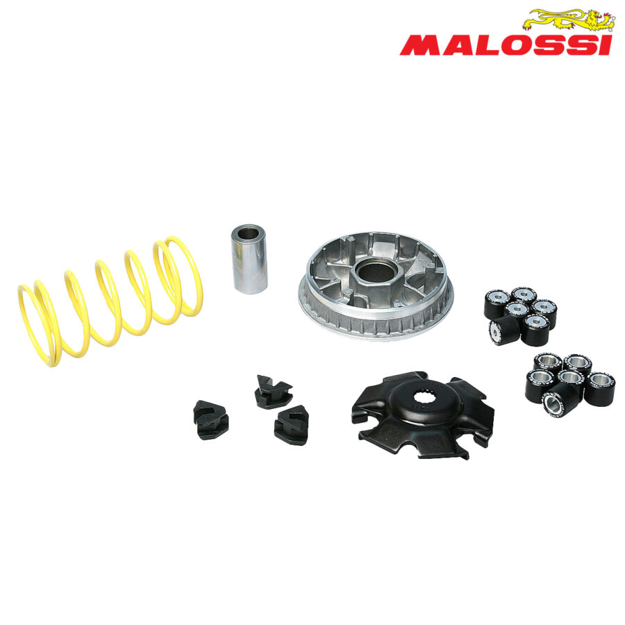 VARIJATOR BENELLI ITALJET MALAGUTI MBK YAMAHA MAJESTY MAXSTER TEO'S X CITY X MAX 125 150 180 MULTIVAR 5113134 MALOSSI***