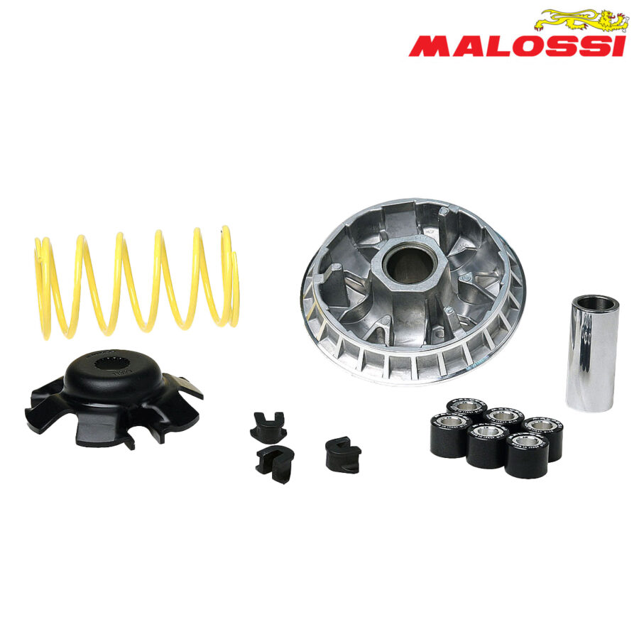 VARIJATOR SUZUKI BURGMAN UH 200 MULTIVAR 5113393 MALOSSI***