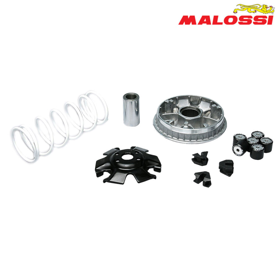 VARIJATOR CF MOTO URBAN GARELLI XO MALAGUTI WT MOTORS 125 150 160 MULTIVAR 5114272 MALOSSI***