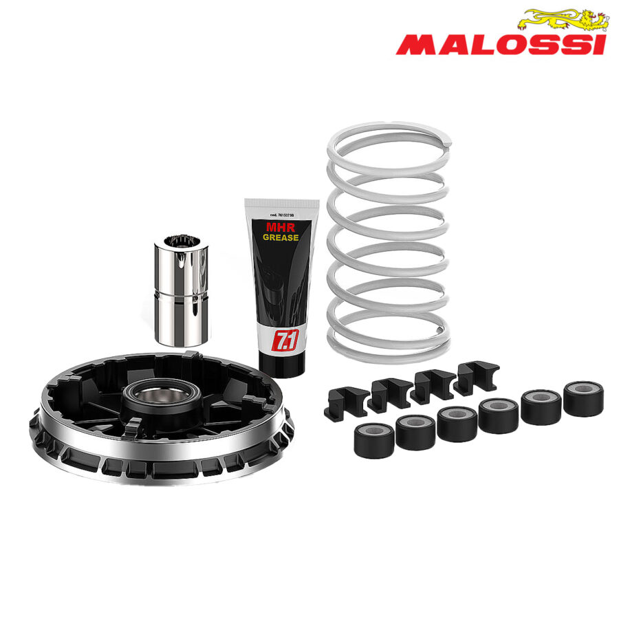 VARIJATOR BMW C 400 GT BMW C 400 X VOGE SFIDA SR4 MAX MULTIVAR 5118750 MALOSSI*