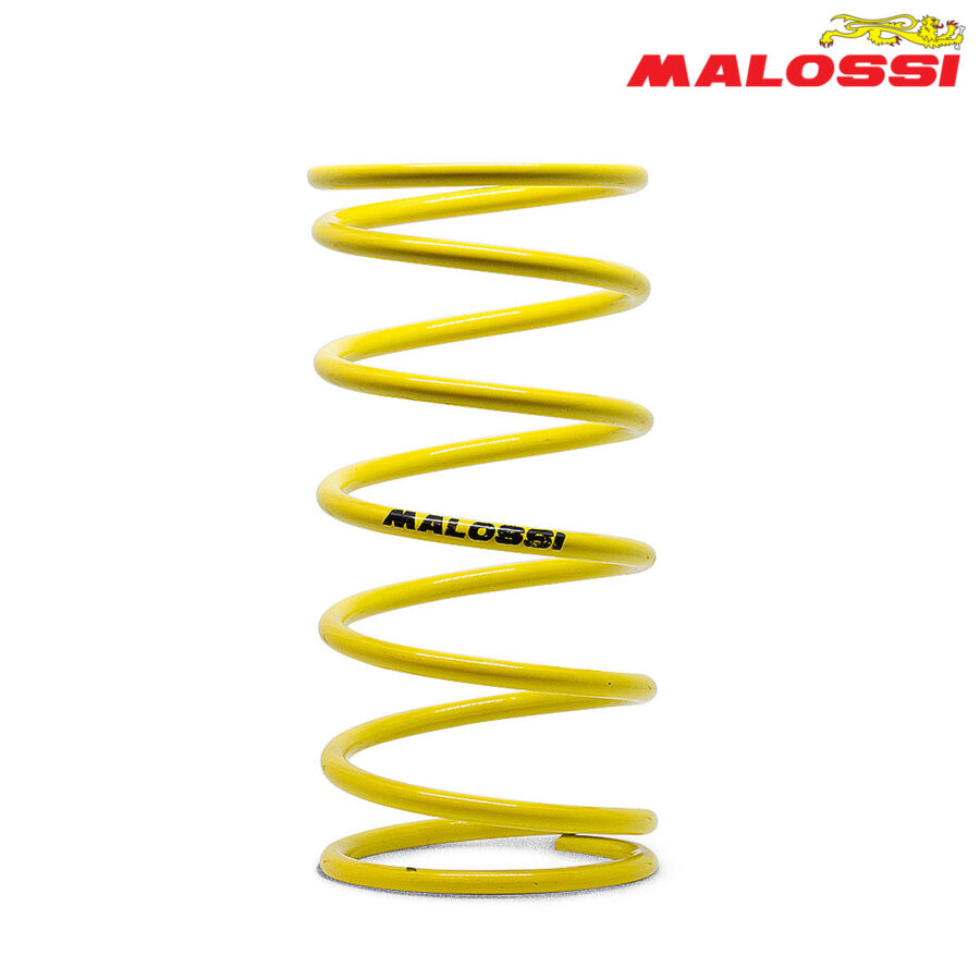 FEDER KAISNICA ZOLT MALOSSI***