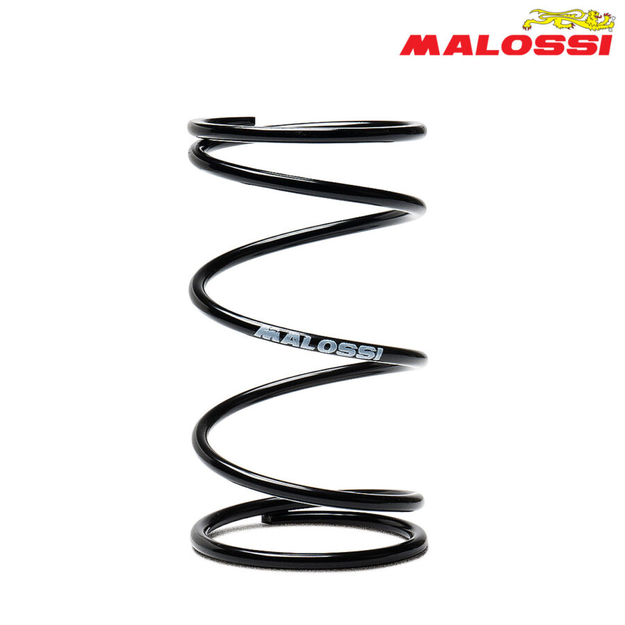 FEDER KAISNICA CRN MALOSSI***