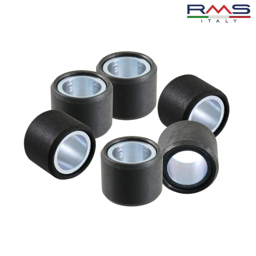 ROLNI 19X15,5-5,3 100450530 100450532 RMS ITALY*