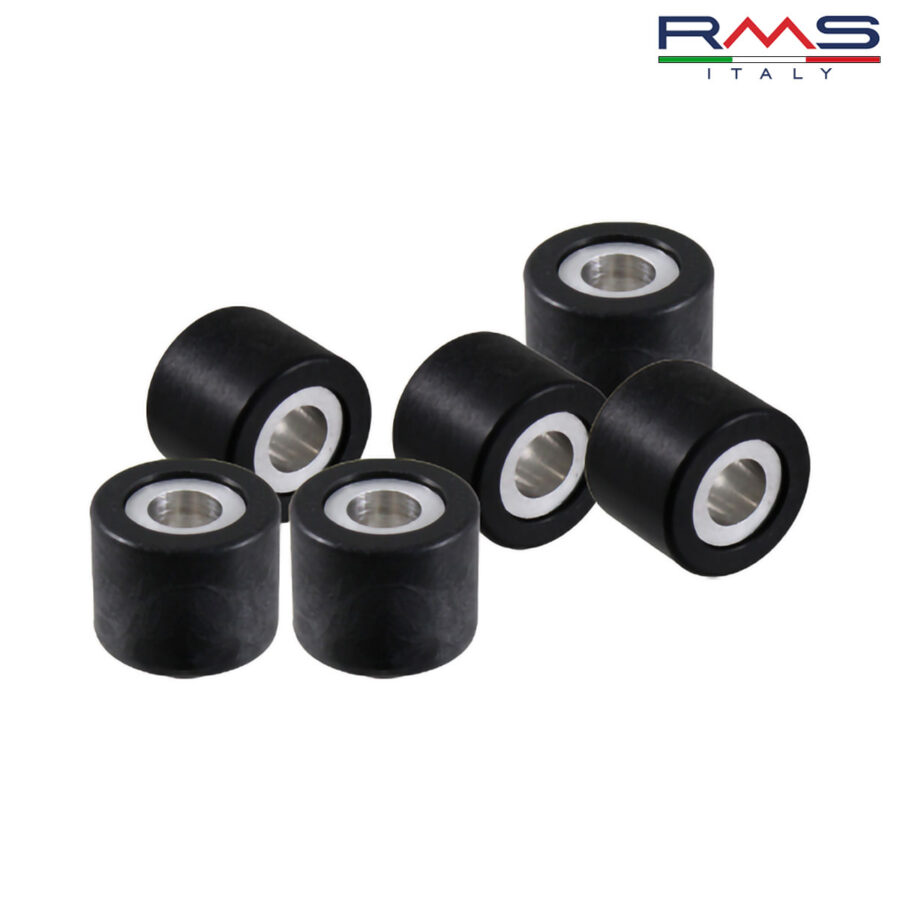 ROLNI 19X15,5-6,5 100450650 RMS ITALY*