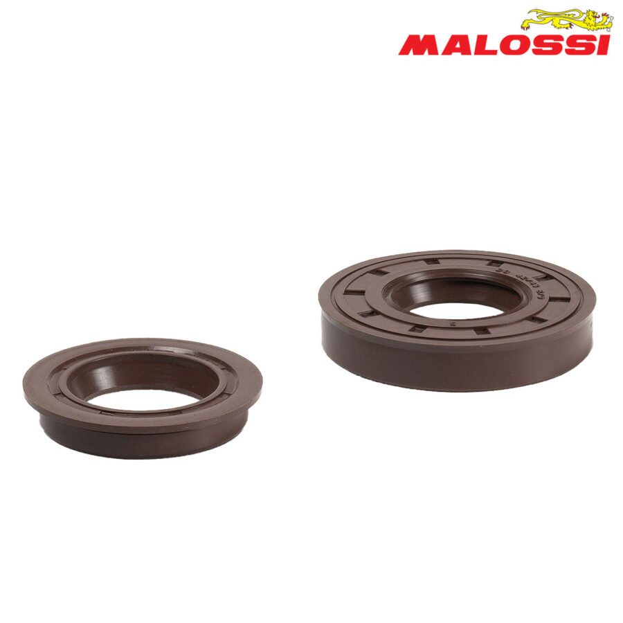 SEMERINZI YAMAHA MINARELI 50 MALOSSI***