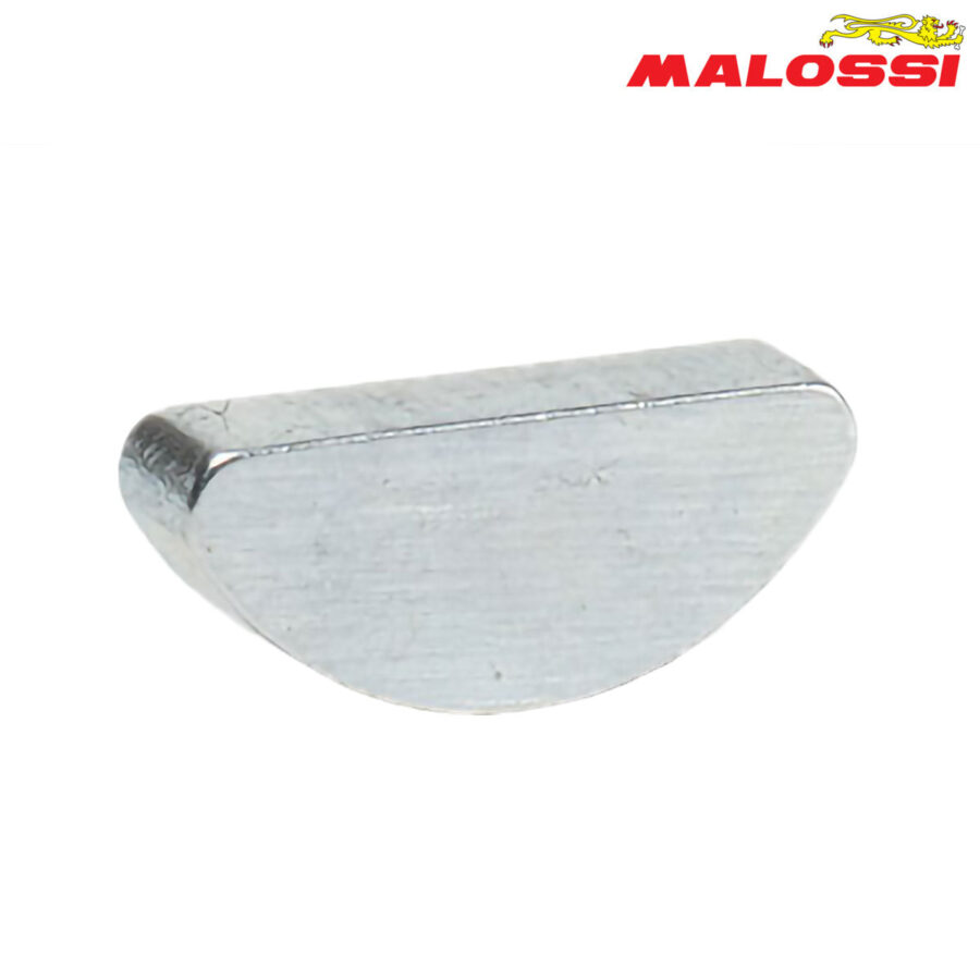 KAJLA RADILICA MAGNET APRILIA GILERA PIAGGIO VESPA 50 2T 12.6x5x3 mm 2320311B MALOSSI*