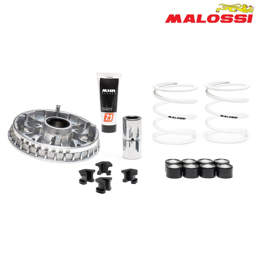 VARIJATOR PIAGGIO BEVERLY MP3 350 400 X10 350 5119126 MALOSSI***