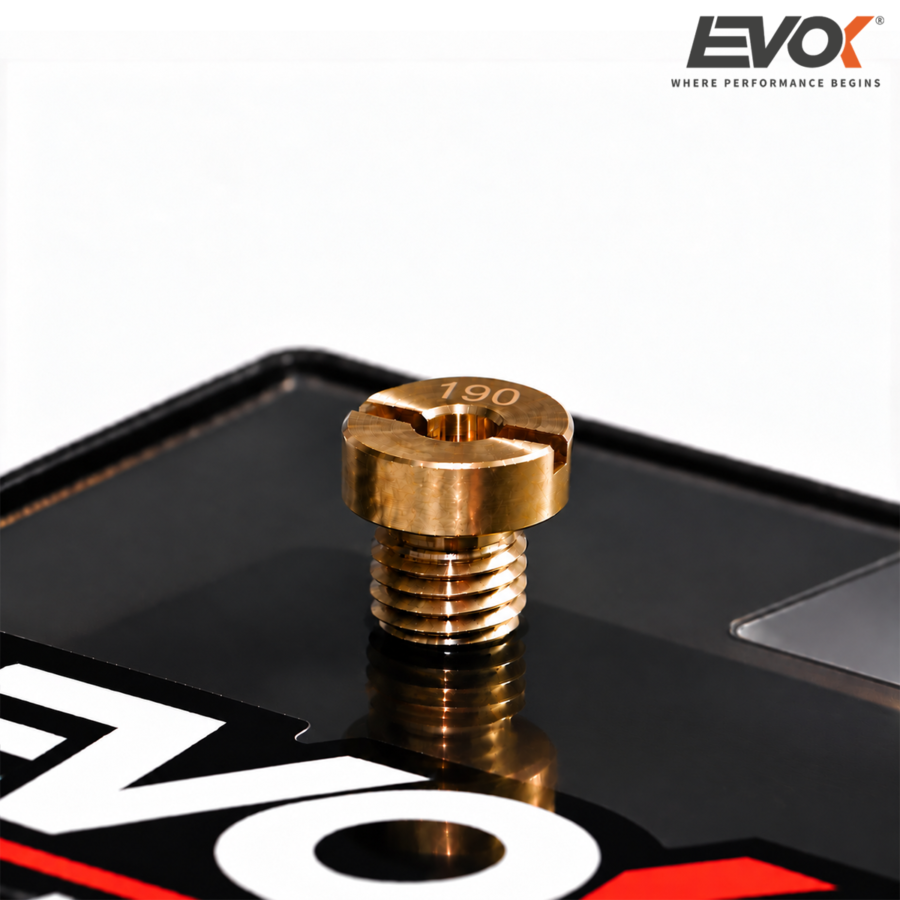DIZNA DELLORTO M6 6mm 190 EVOK ITALY*
