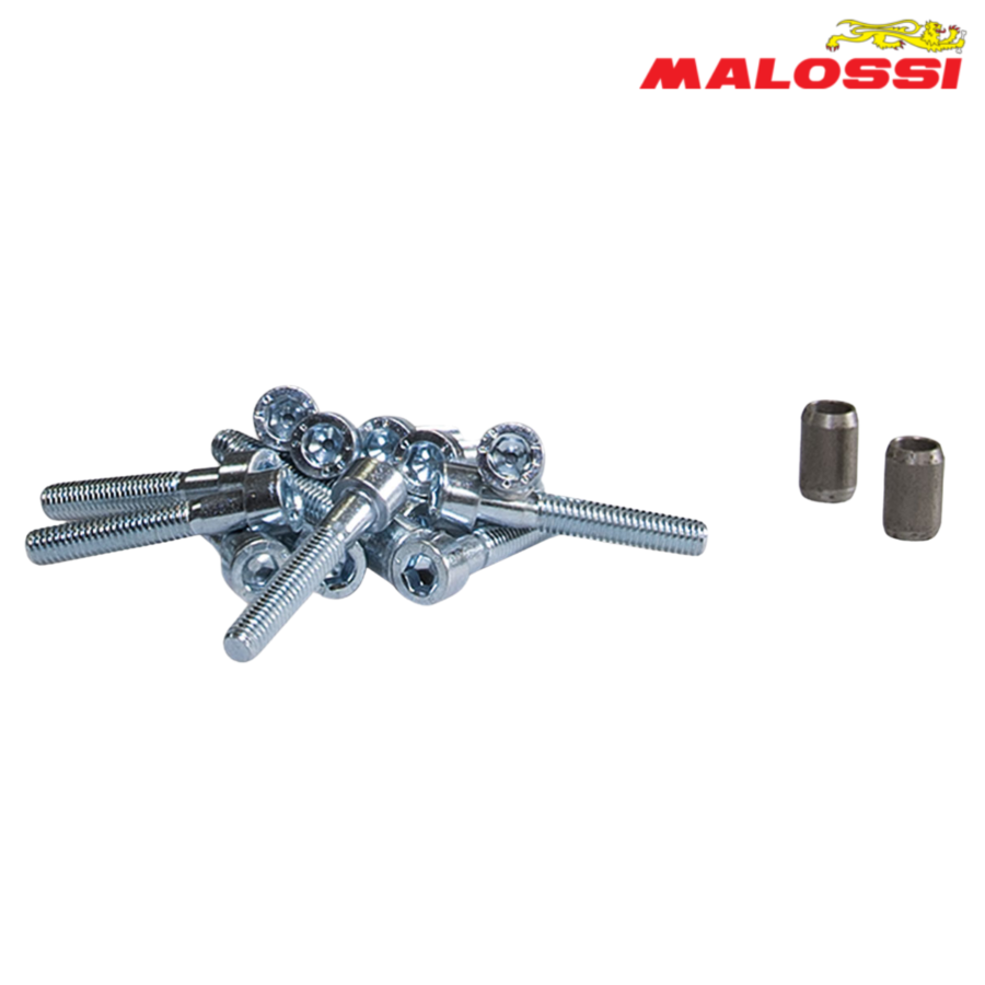 STRAFOVI KAPAK KURBLA SET PIAGGIO 50 2017196 MALOSSI*