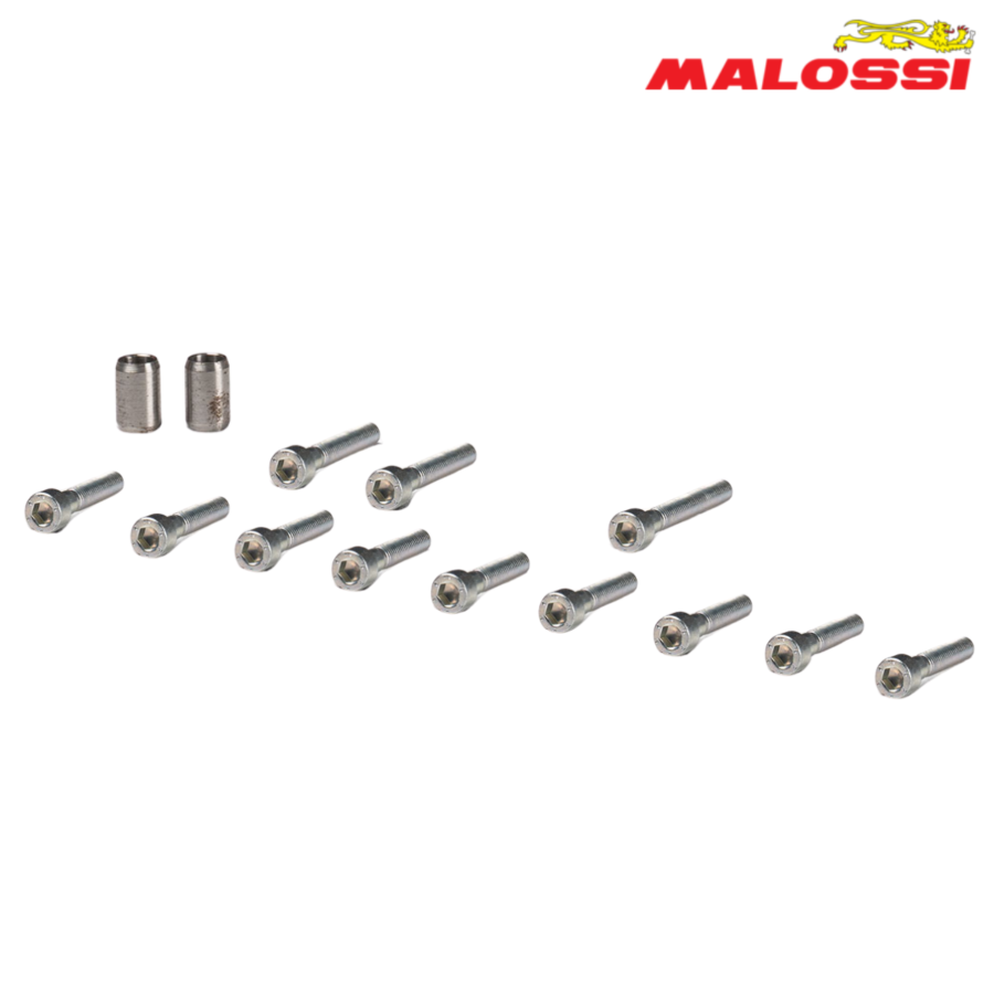 STRAFOVI KAPAK KURBLA SET YAMAHA AEROX 50 2019366 MALOSSI*