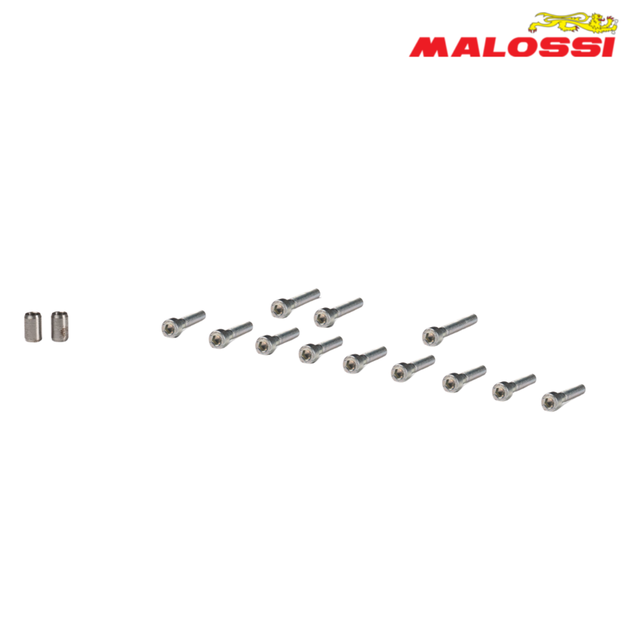 STRAFOVI KAPAK KURBLA SET YAMAHA AEROX 50 2019366 MALOSSI*