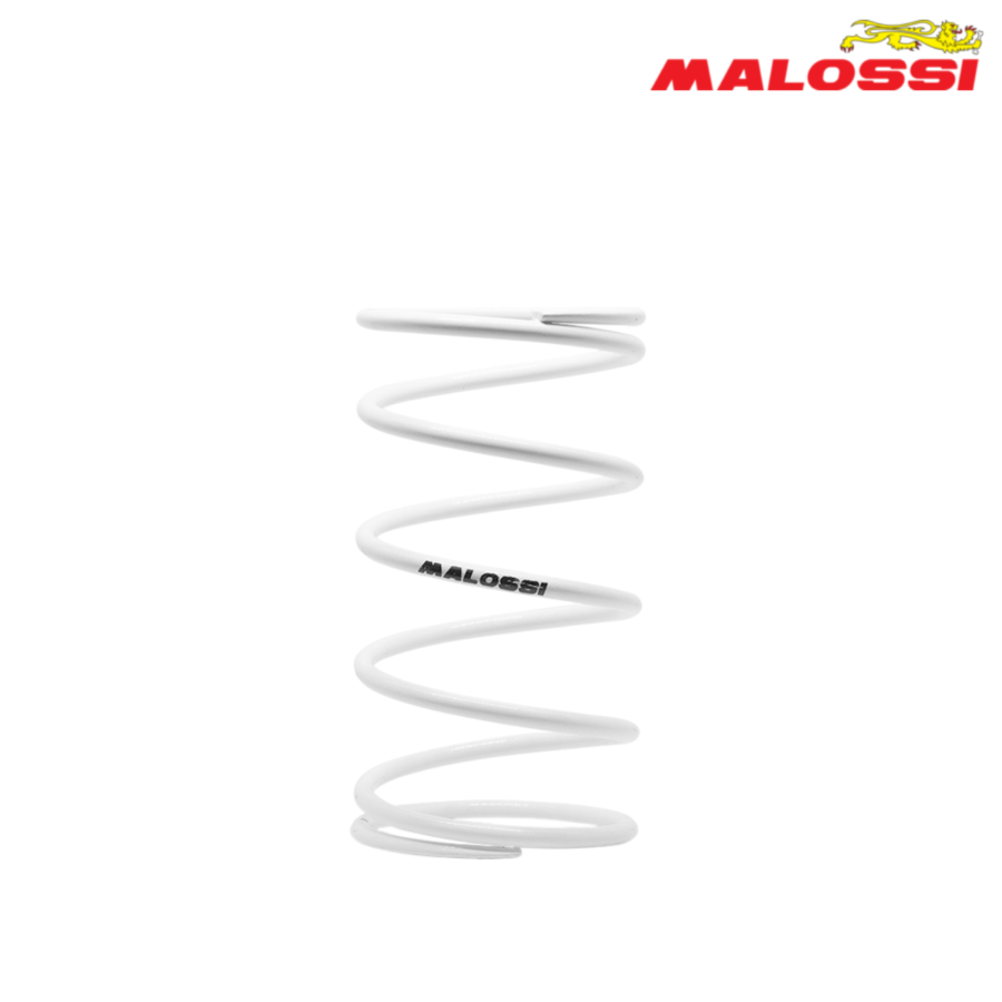 FEDER KAISNICA BEL GY6 50 60 80 100 5% 2912658.W0 MALOSSI*