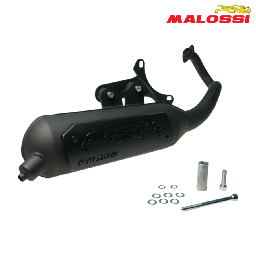 AUSPUH APRILIA SR FACTORY 50 PIAGGIO C361M WILD LION 3216582 MALOSSI ITALY