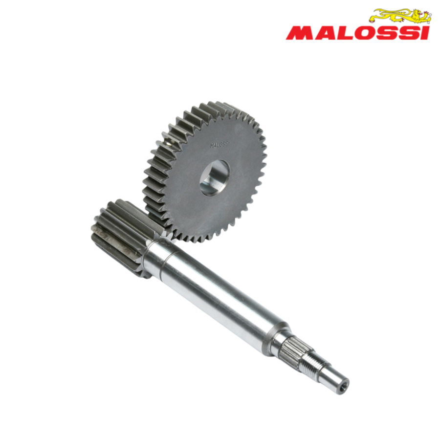 ZUPCANIK PRENOS SET KEEWAY FACT 50 14/42 6713602 MALOSSI ITALY*