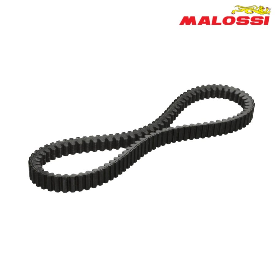 KAIS 894x31x16,9 KEVLAR 6115687 MALOSSI*