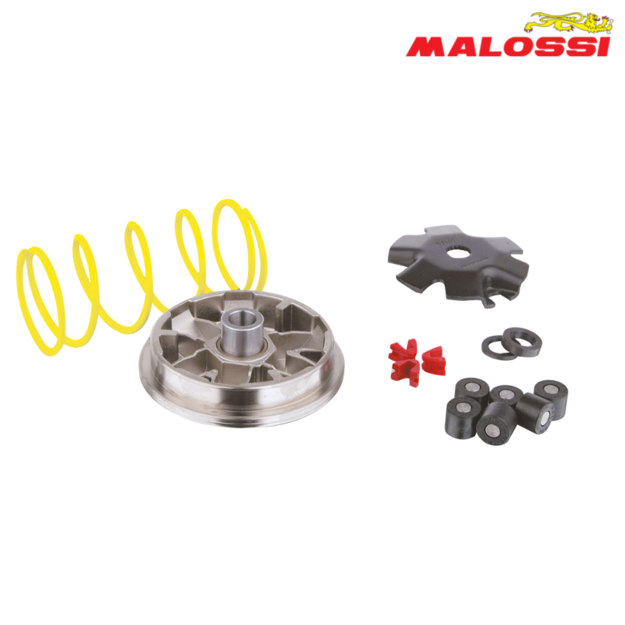VARIJATOR PGO BIG MAX 50 51 8852 MALOSSI*